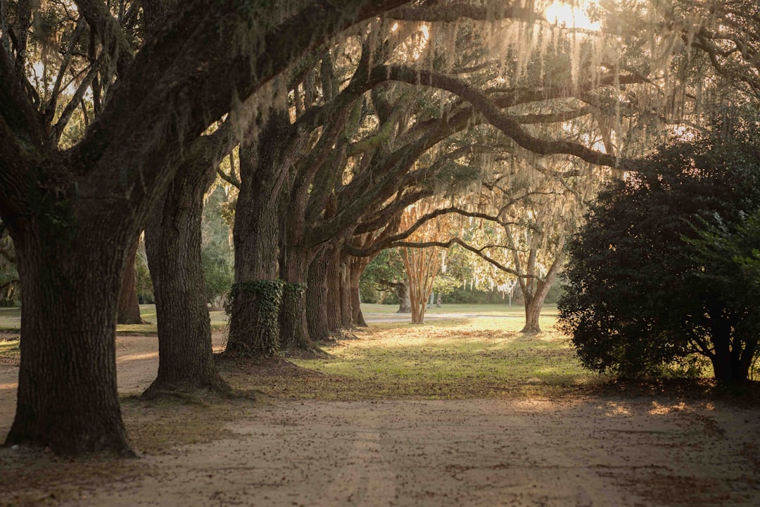How to Get a Passport in Reevesville, SC: Guide & Facilities