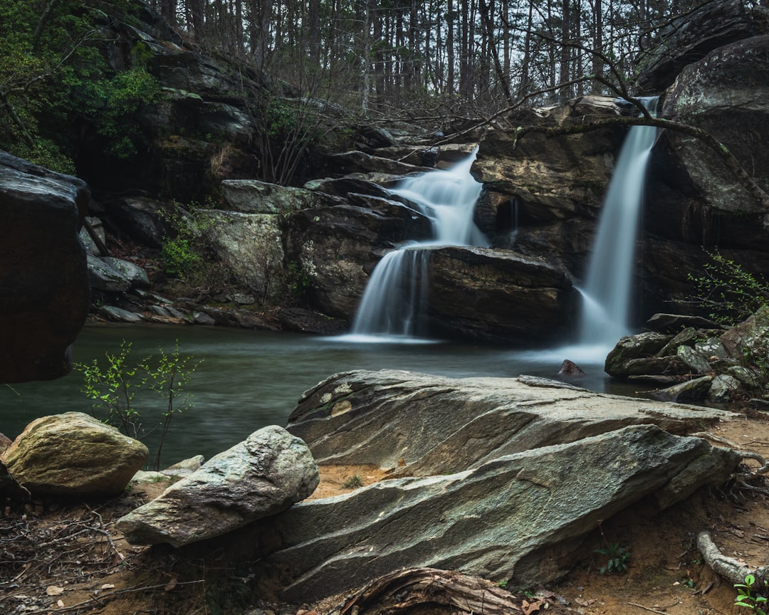 How to Get a Passport in Rockford, Alabama: Full Guide