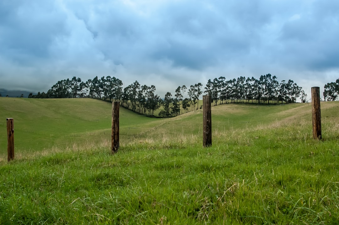 How to Get a Passport in Rocky Boy West, MT: Full Guide