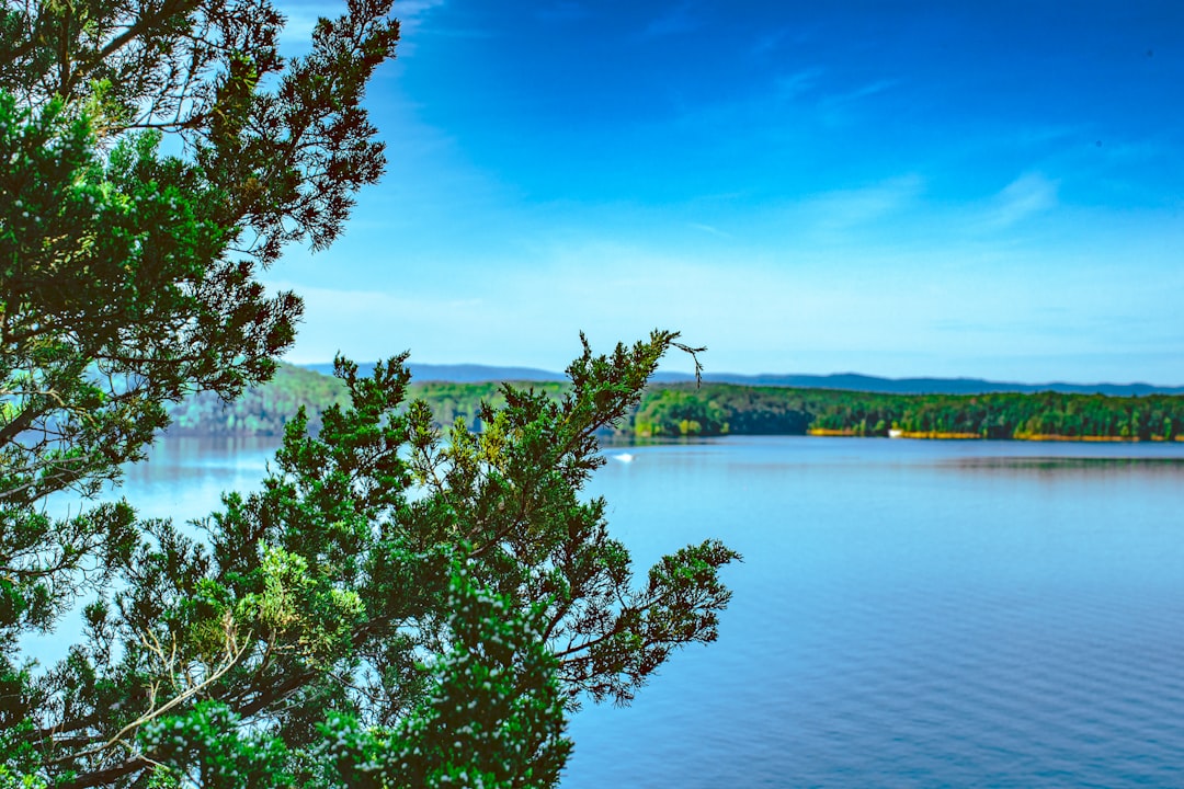 How to Get a Passport in Scott, AR: Facilities, Forms & Timelines