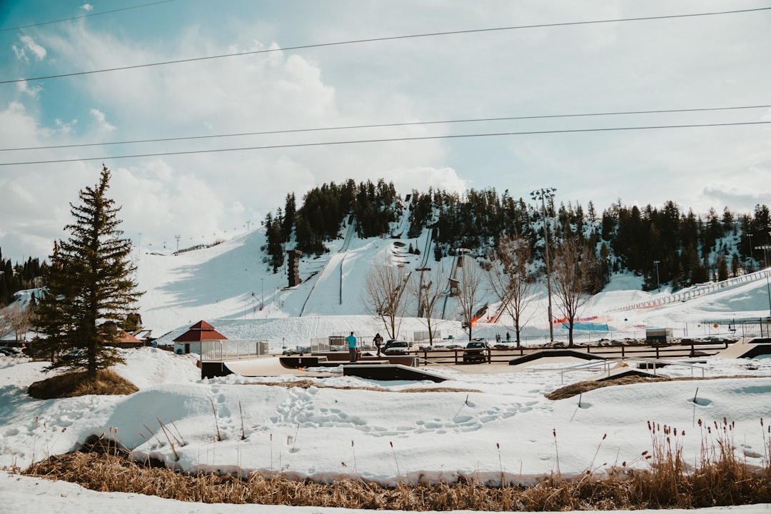 How to Get a Passport in Sierra Ridge, CO: Step-by-Step