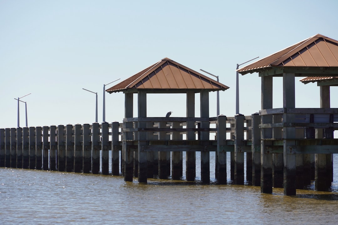 How to Get a Passport in Snow Lake Shores, MS: Full Guide