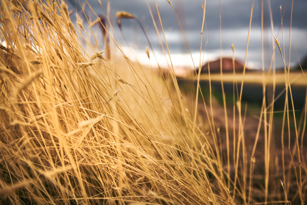 How to Get a Passport in Spanish Fork, UT: Full Guide