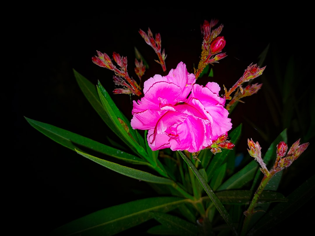 How to Get a Passport in Sparta, GA: Step-by-Step Guide