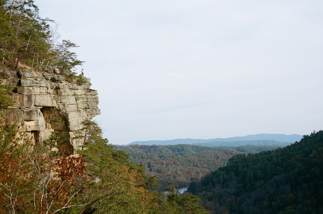 How to Get a Passport in Stanton, TN: Facilities & Steps
