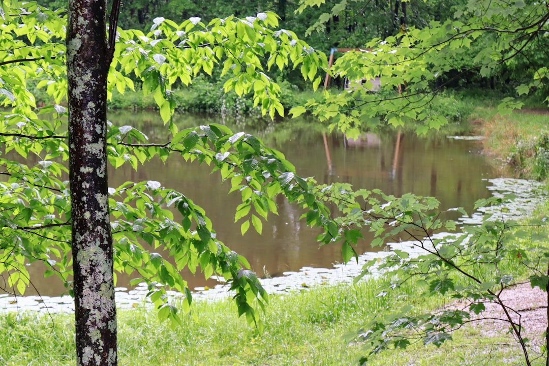 How to Get a Passport in Stone Creek, OH: Guide & Facilities