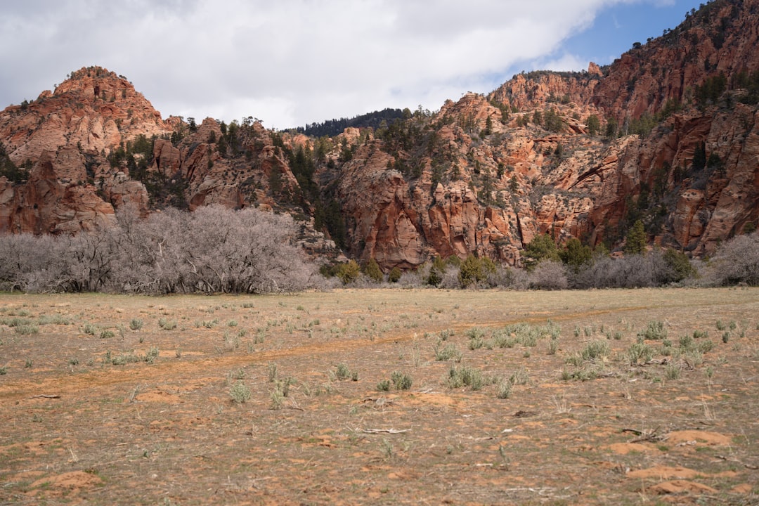 How to Get a Passport in Sutherland, UT: Steps, Facilities & Tips