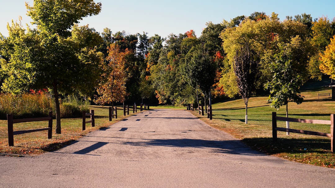 How to Get a Passport in Ute, IA: Steps & Local Facilities