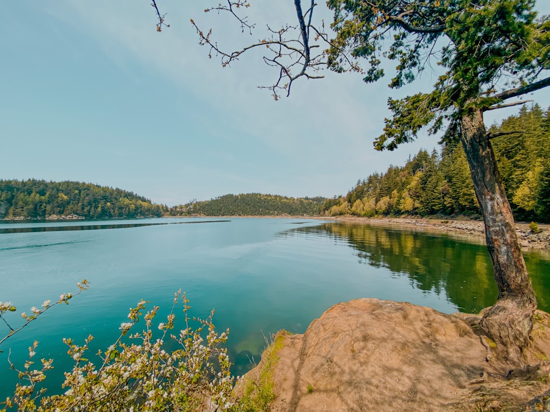 How to Get a Passport in Waverly, WA: Step-by-Step Guide