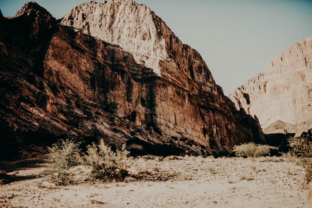 How to Get a U.S. Passport in Amarillo, TX: Complete Guide