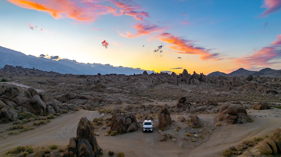 How to Get a U.S. Passport in Decatur, AL: Facilities & Steps