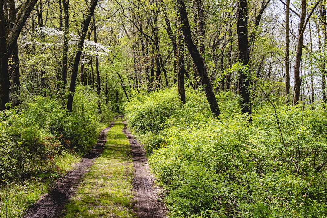 How to Get a U.S. Passport in Mogadore, OH: Complete Guide