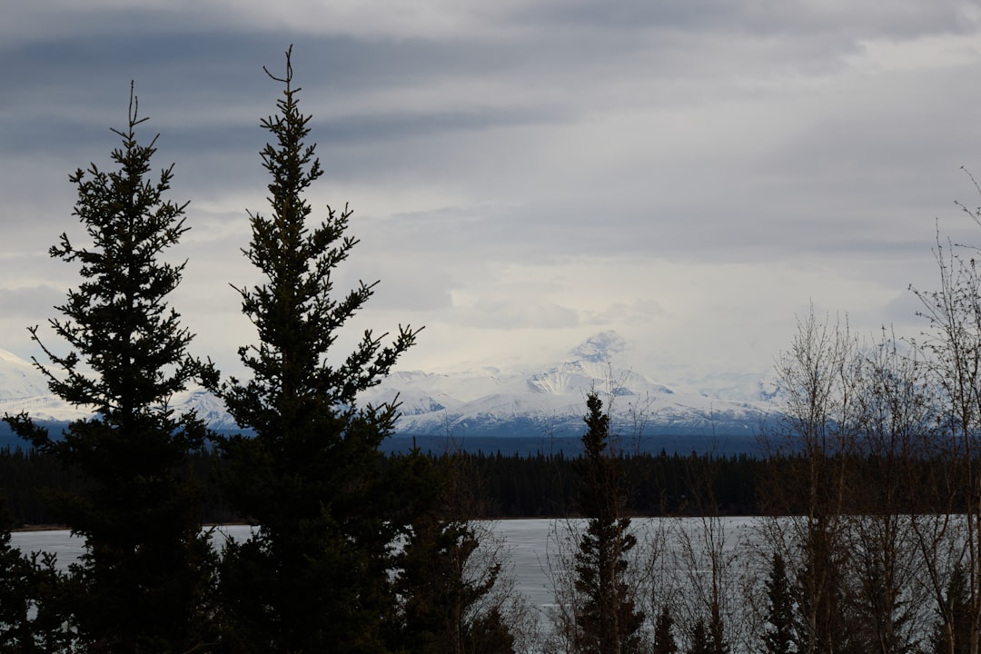 How to Get Passport in Akiak AK: Bethel Facilities & Mail Renewals