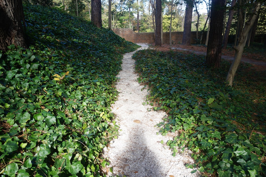 How to Get Passport in Bluefield, VA: Steps, Facilities, Tips