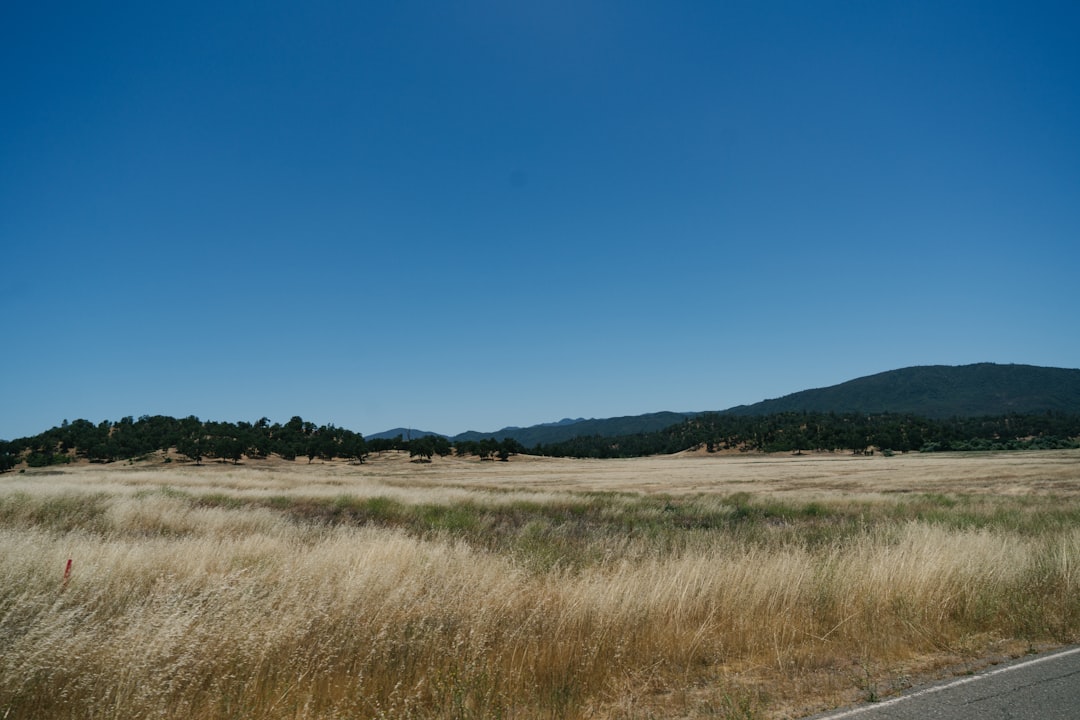 How to Get Passport in North Shore, CA: Facilities and Tips