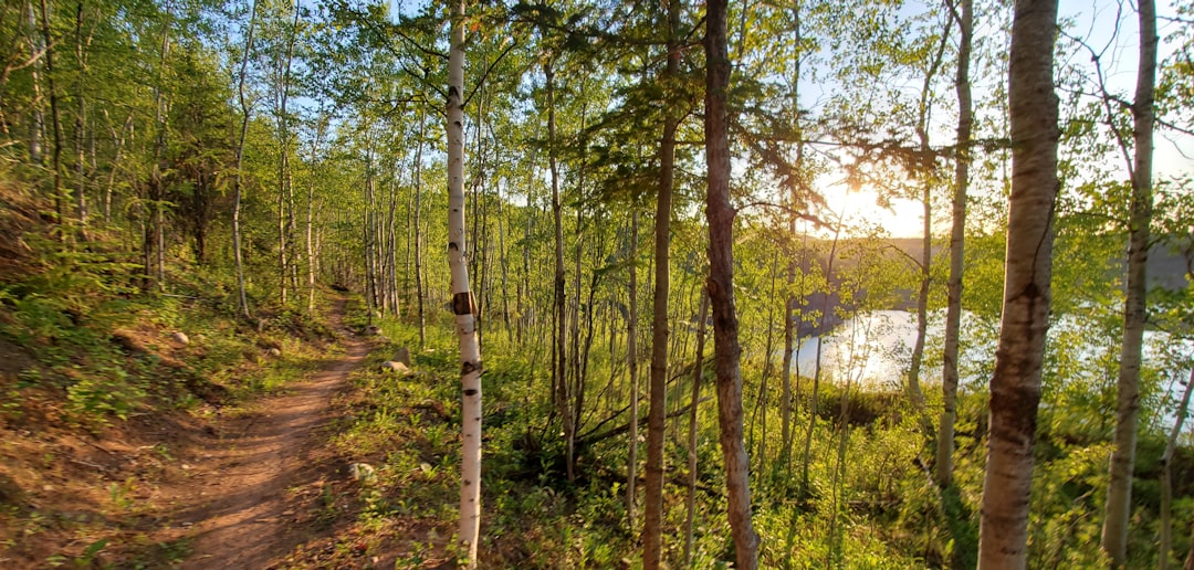 How to Get Passport in Sunburg, MN: Nearest Facilities & Steps