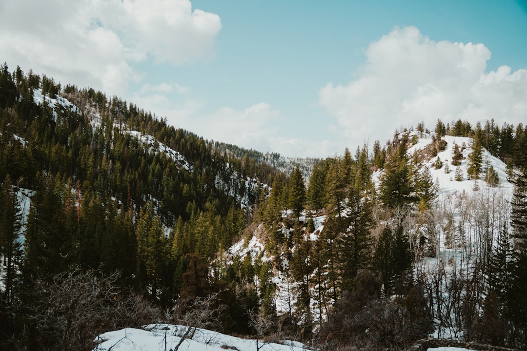 How to Get Passport in Wheat Ridge, CO: Full Application Guide