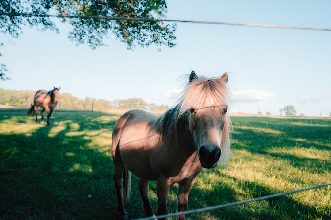 How to Get Your Passport in Diablock, KY: Complete Guide
