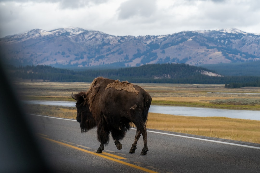 Huntley, MT Passport Guide: Steps, Forms, Billings Facilities