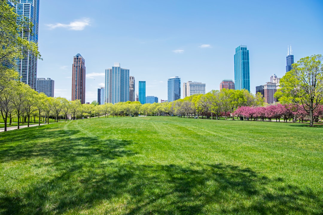 Illinois City IL Passport Guide: Forms, Quad Cities Facilities