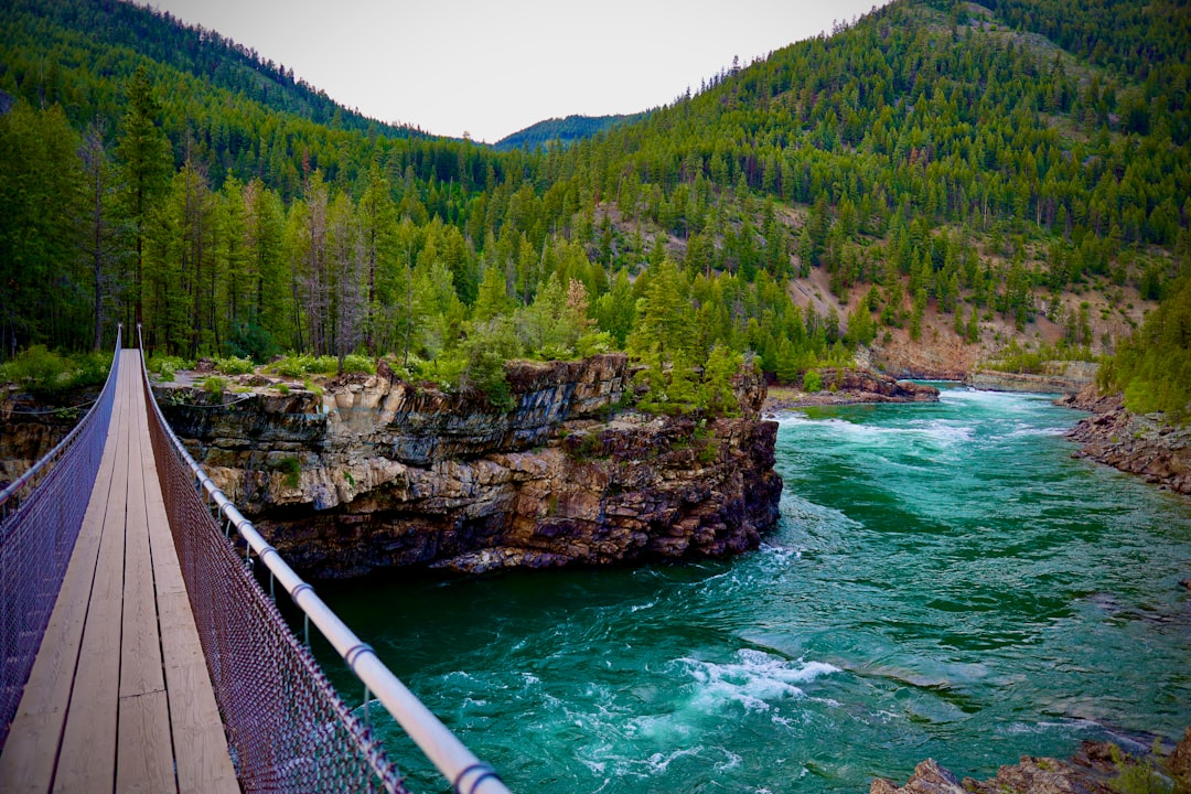 Ismay MT Passport Guide: Steps, Forms, Miles City Facilities