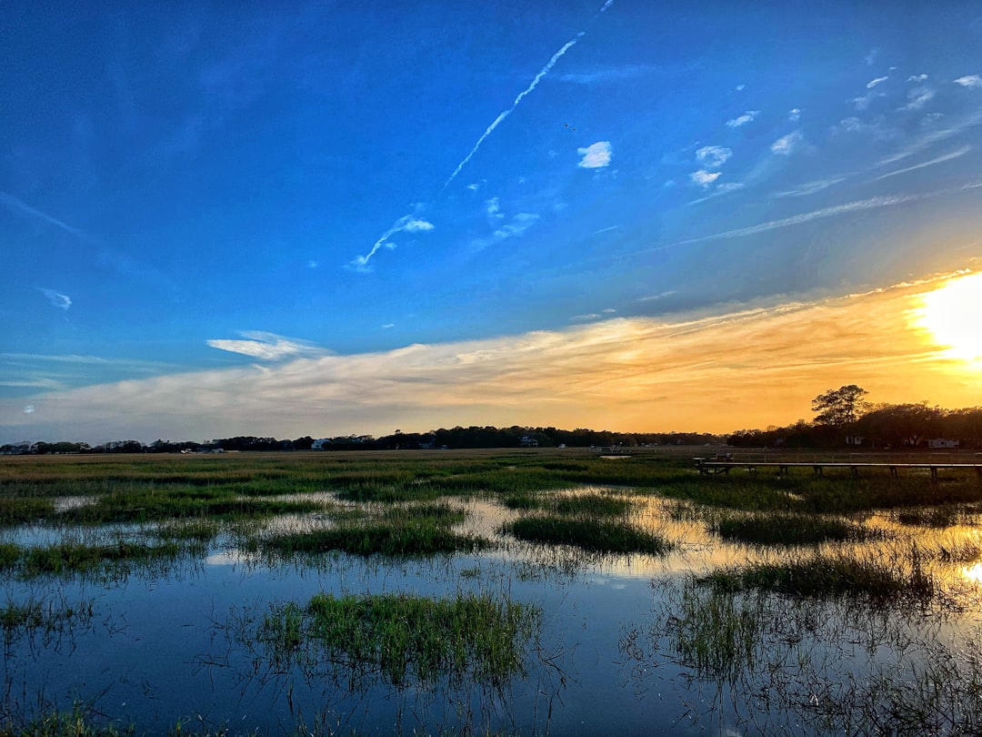 Jacksonboro SC Passport Guide: Facilities, Checklists, Tips