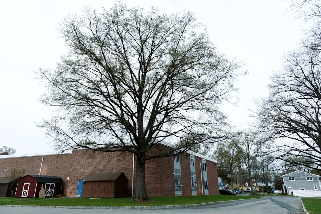 Jamesburg NJ Passport Guide: First-Time, Renewal & Urgent Steps