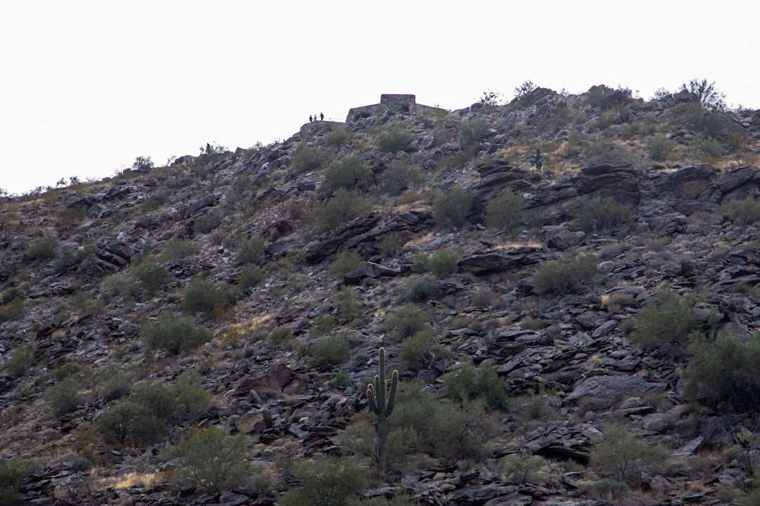 Kearny AZ Passport Guide: First-Time, Renewals, Local Facilities