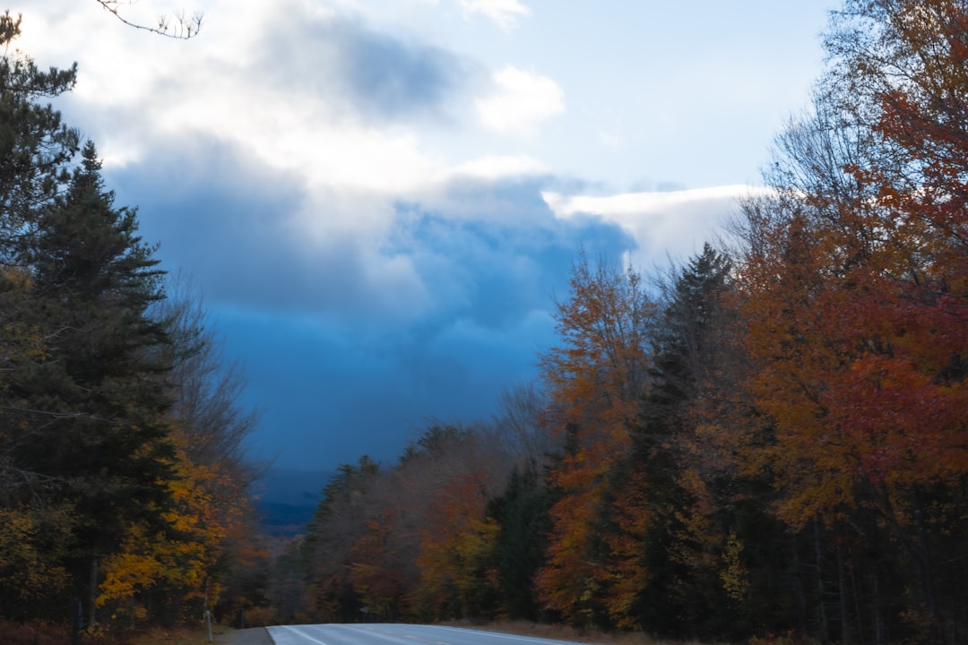 Keene NH Passport Guide: First-Time, Renewal, Facilities