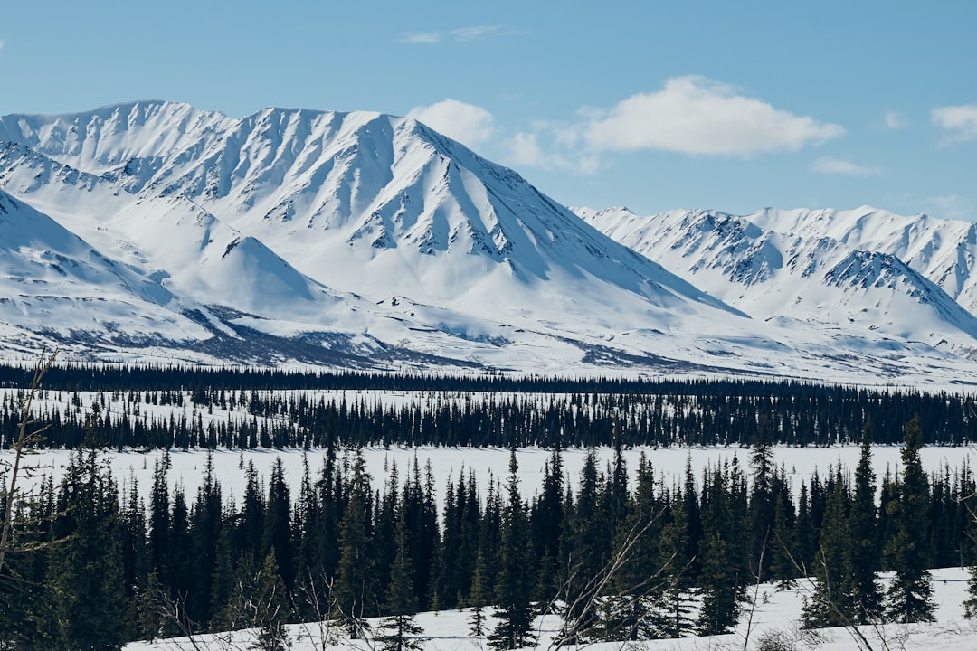 Kenny Lake AK Passport Guide: Apply, Renew, Facilities