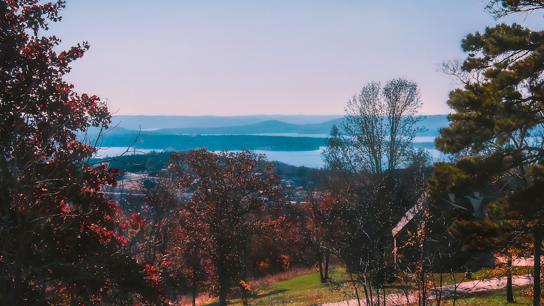 Keytesville, MO Passport Guide: Facilities, Forms, Photos, Fees