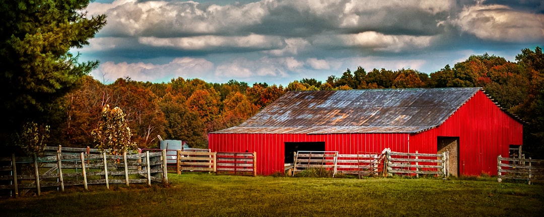 Kingsley KY Passport Guide: Facilities, DS-11/82 & Steps