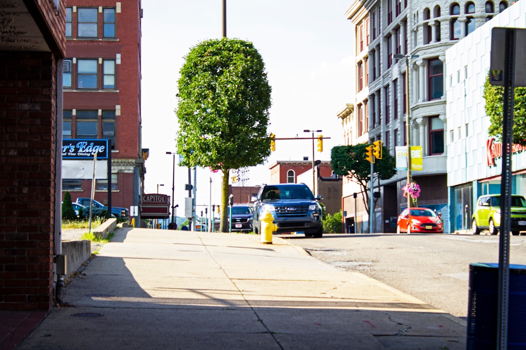 Kingstowne VA Passport Guide: Forms, Photos, Local USPS