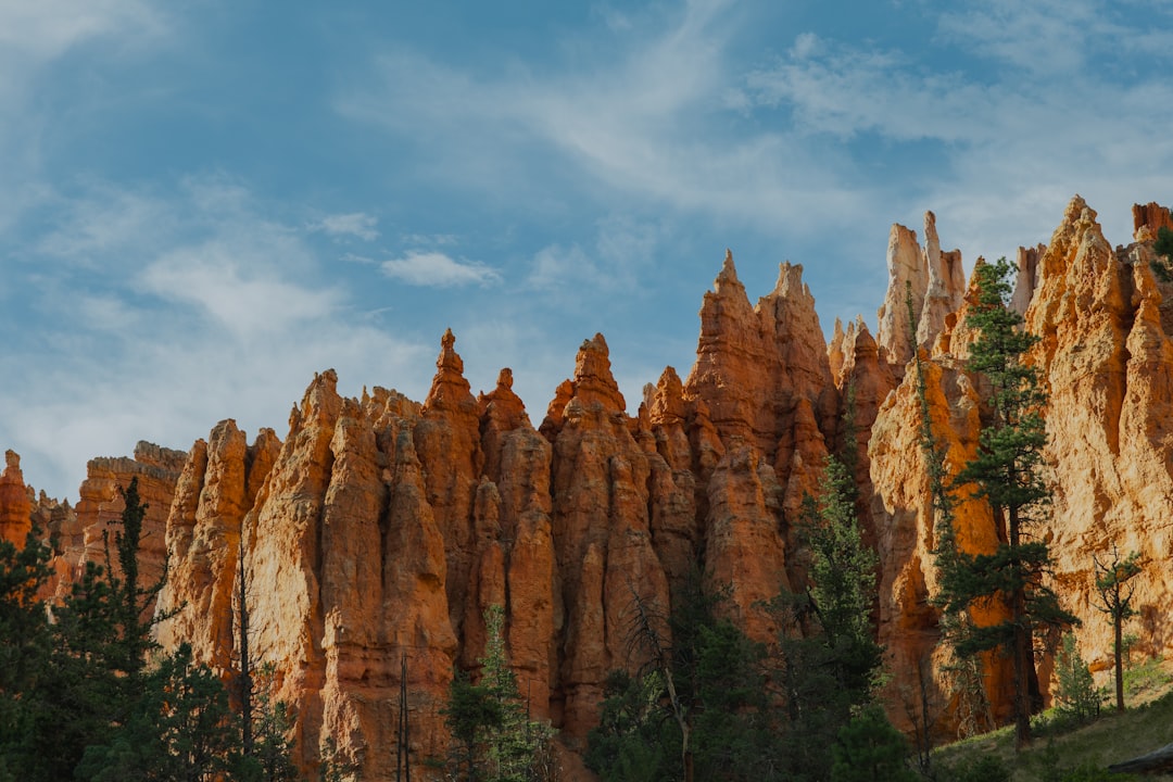 La Sal UT Passport Guide: Facilities, DS-11, Renewals