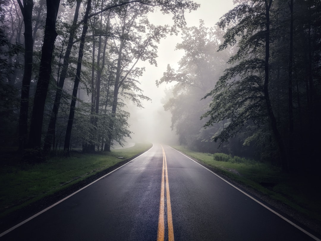 Linndale, OH Passport Guide: First-Time, Renewals & Facilities