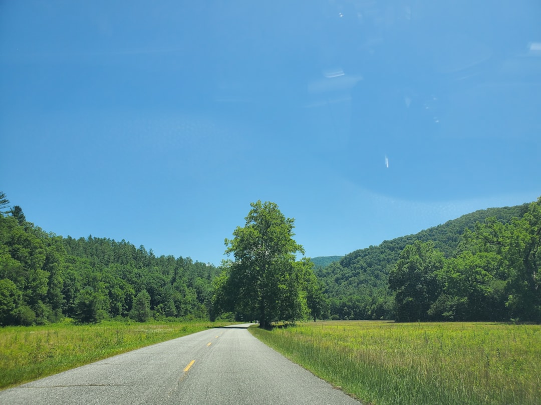 Linville NC Passport Guide: Forms, Facilities, Local Tips