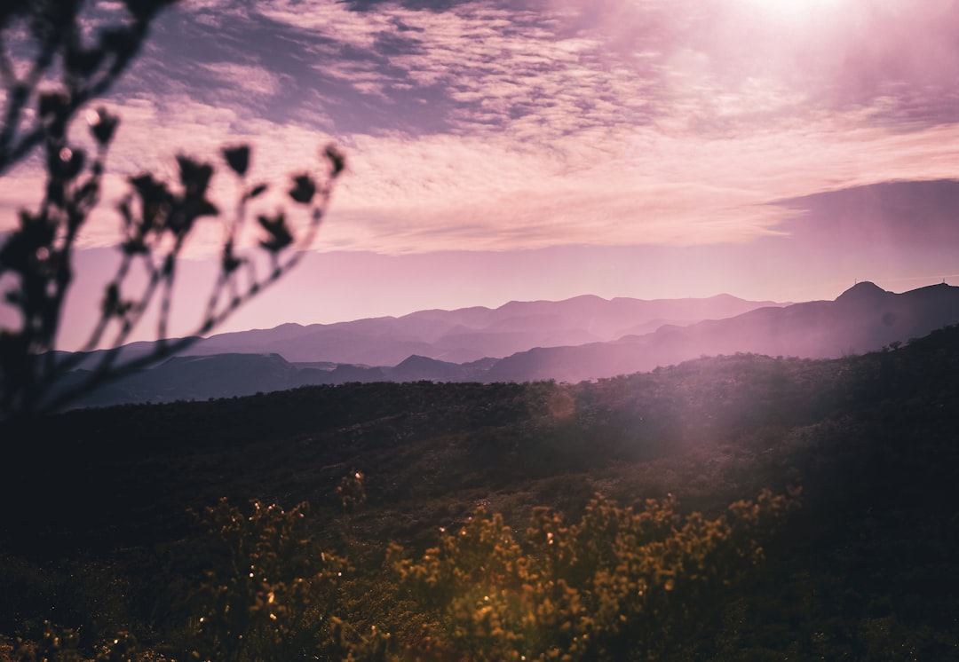 Los Ojos NM Passport Guide: Facilities, Applications & Renewals