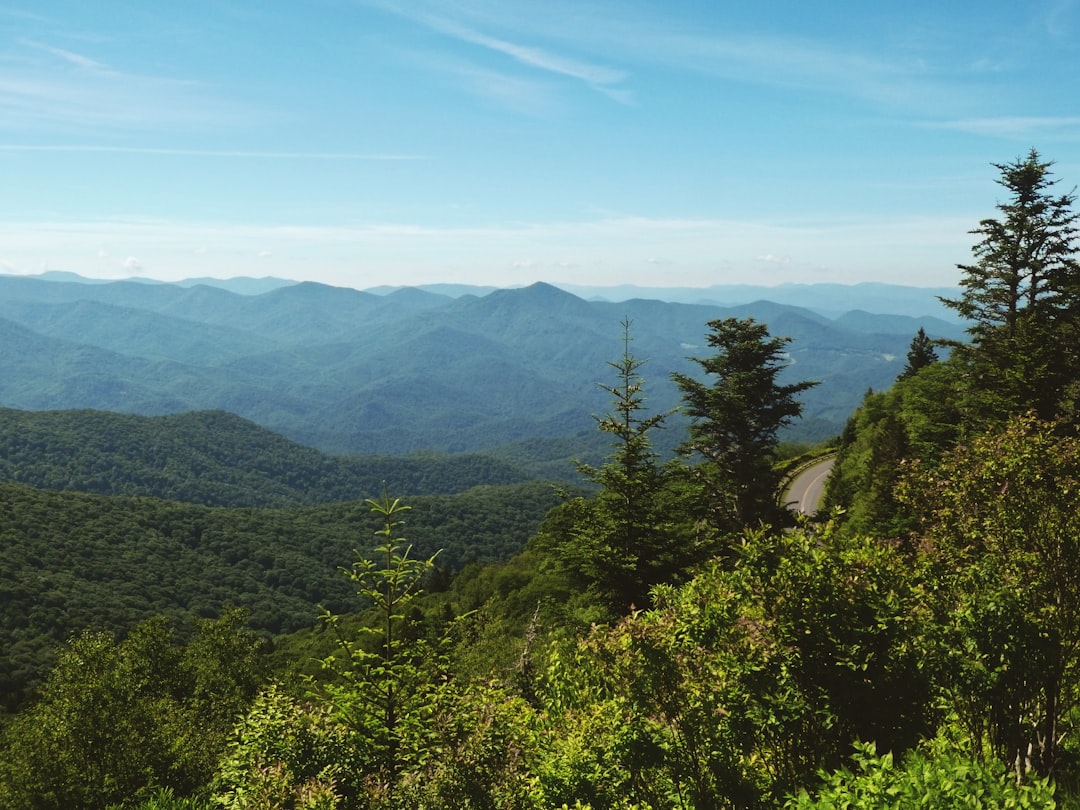 Macclesfield NC Passport Guide: Tarboro Facilities, Forms, Tips