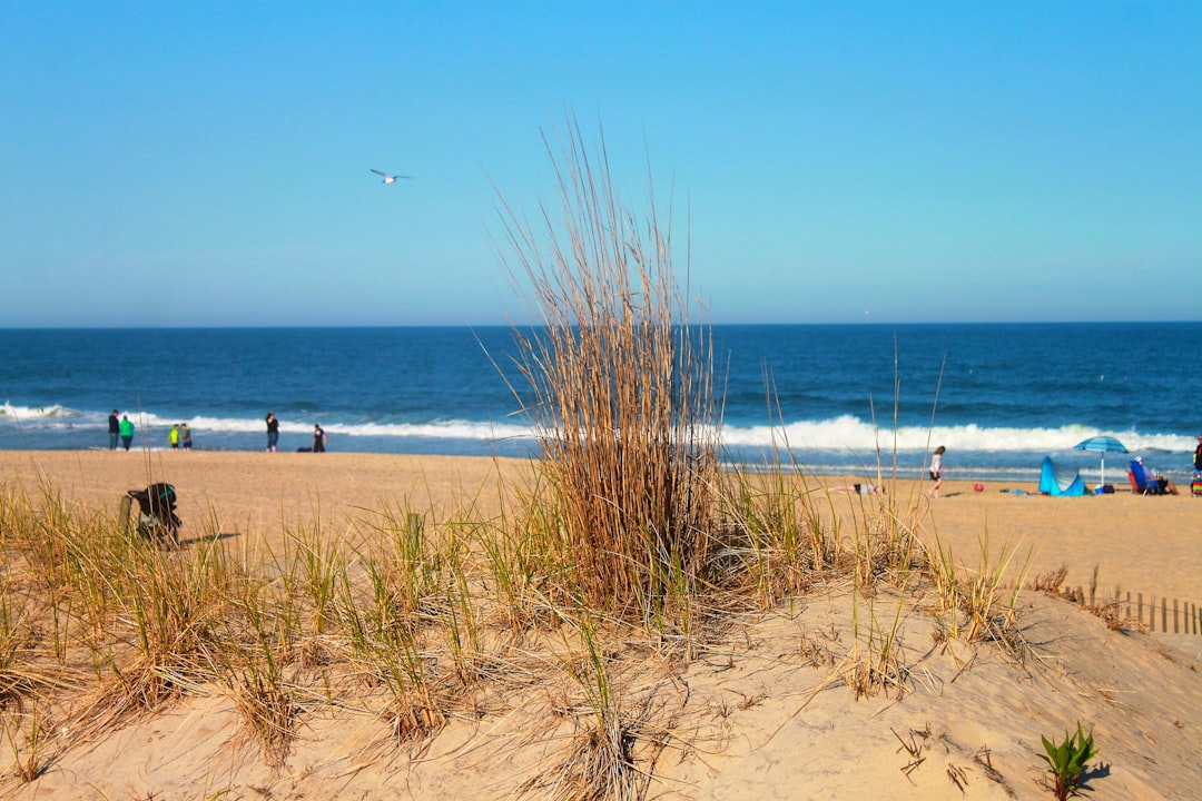 Madison, MD Passport Guide: Steps, Local Facilities, Tips