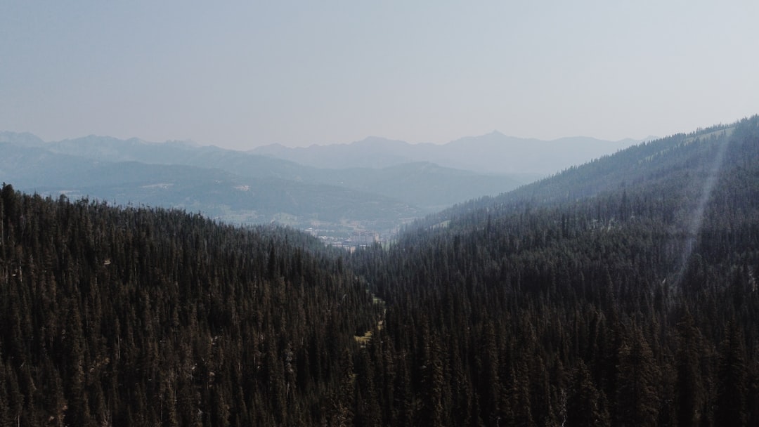 Marion MT Passport Guide: Nearest Kalispell Facilities & Tips