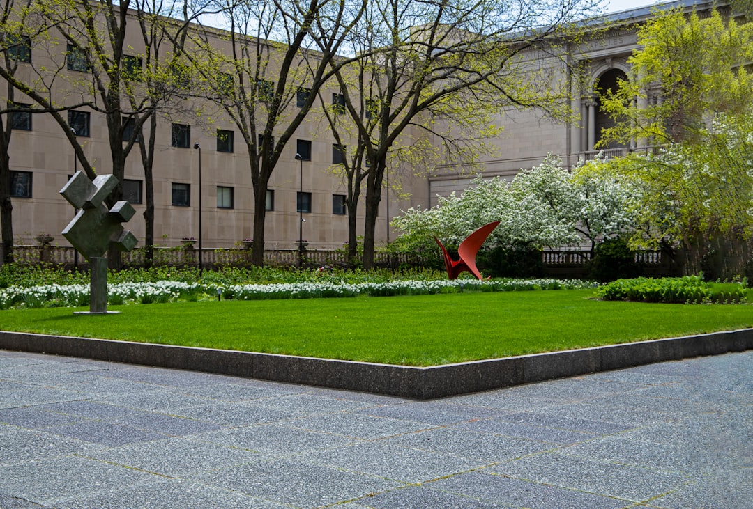 Maroa IL Passport Guide: First-Time, Renewals, Facilities