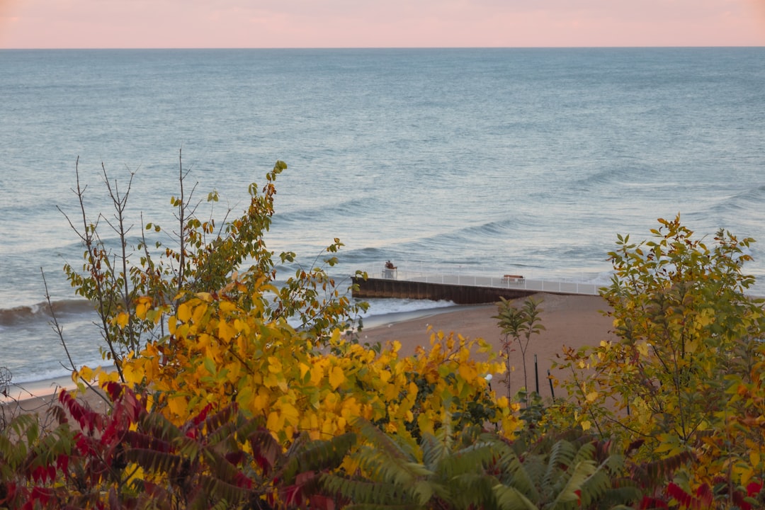 Marshall, MI Passport: How to Apply, Renew & Find Facilities