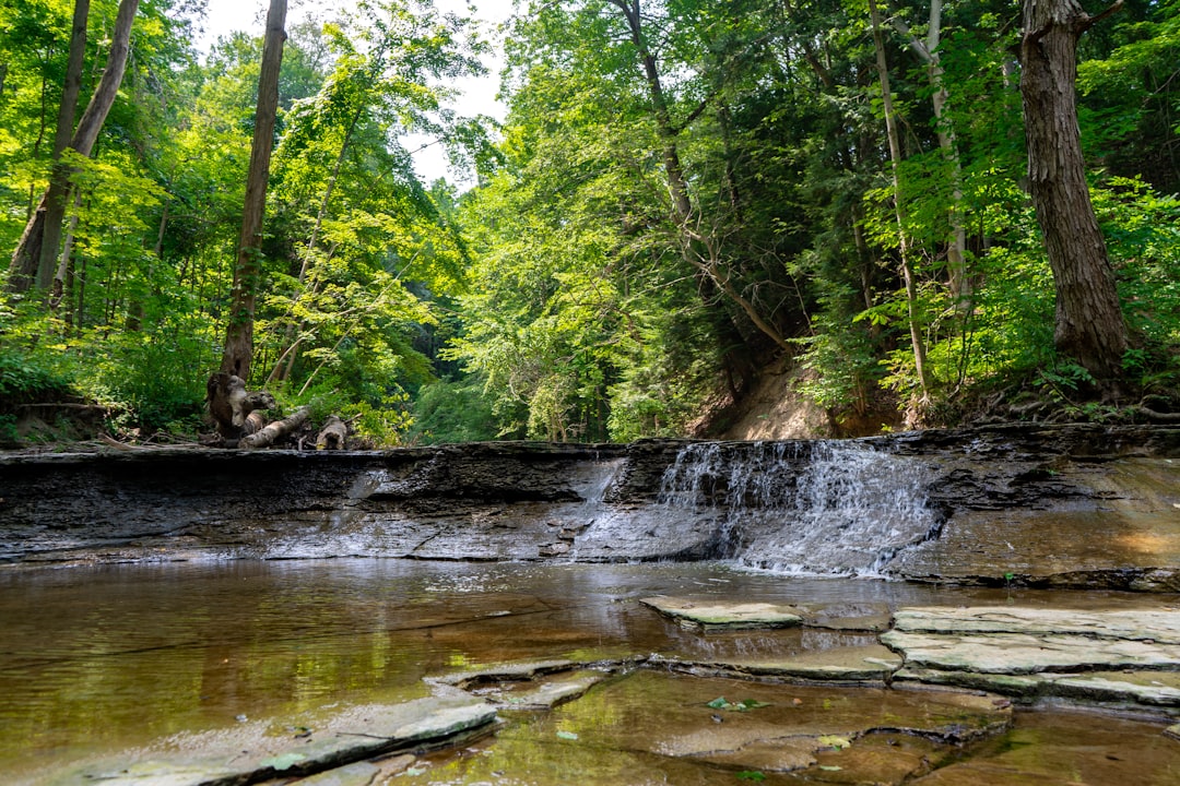 McCutchenville, OH Passport Guide: Steps, Facilities, Checklists