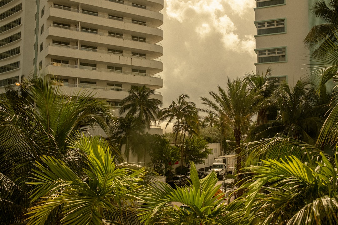 Medley FL Passport Guide: Steps, Forms, Local Facilities