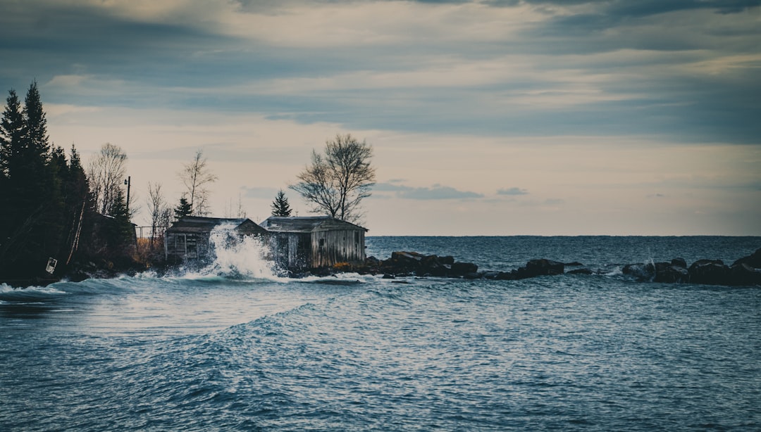Milroy, MN Passport Guide: Steps, Facilities, Checklists