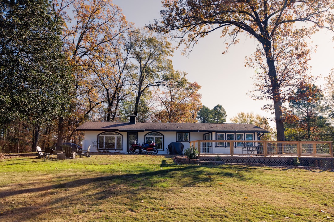 Mount Holly AR Passport Guide: Forms, Facilities & Steps