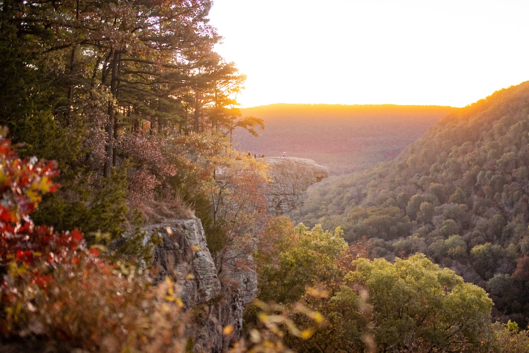 Mount Pleasant AR Passport Guide: Facilities, Forms, 2024 Steps