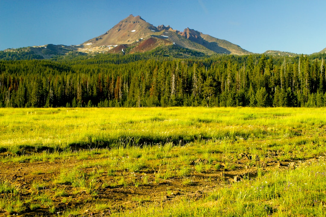 Myrtle Creek, OR Passport Guide: Apply, Renew, Facilities