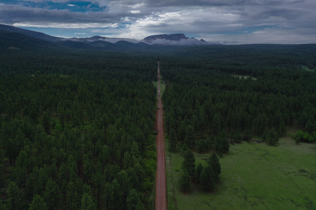 Newcomb NM Passport Guide: Facilities, Forms, Drive Times