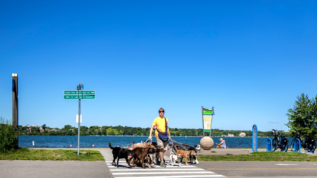 Nimrod MN Passport Guide: Facilities, Applications & Tips